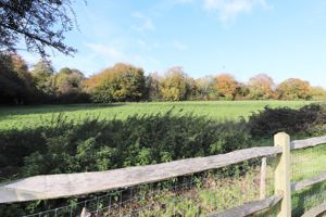 Photo 18- click for photo gallery